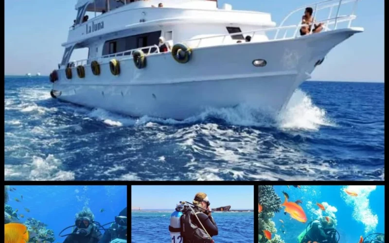 VESSEL CHATTERED AND SCUBA ADVENTURE